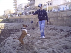 Fotos de perros